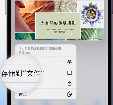 即墨apple维修中心分享iPhone文件应用中存储和找到下载文件