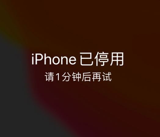 即墨苹果手机维修分享:iPhone 显示“不可用”或“已停用”怎么办？还能保留数据吗？ 