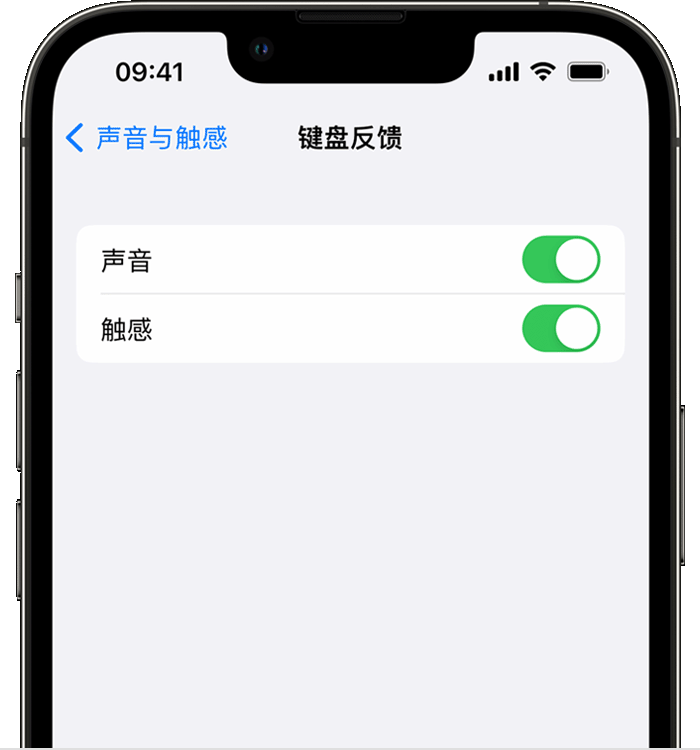 即墨苹果14维修店分享如何在 iPhone 14 机型中使用触感键盘 