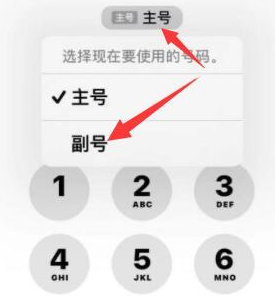 即墨苹果14维修店分享iPhone 14 Pro Max使用副卡打电话的方法 