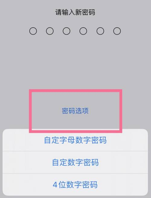 即墨苹果14维修分享iPhone 14plus设置密码的方法 