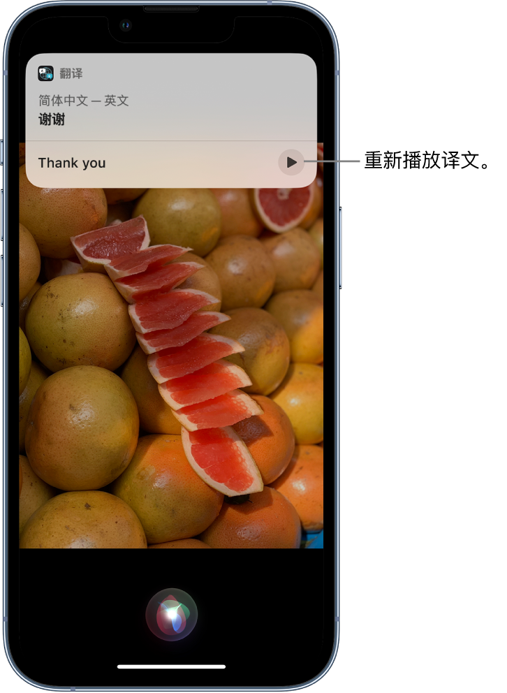 即墨苹果14维修分享 iPhone 14 机型中使用 Siri：了解 Siri 能帮你做什么 