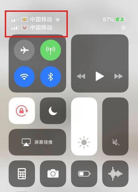 即墨苹果手机维修分享为 iPhone 12 双卡设置标签 